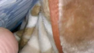 Compilation incroyablement excitante de putes aimant un film porno gratuit la pisse