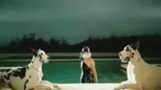 Orgie à couper le videos et films pornos souffle avec des nymphos chics comme Carmen Caliente Kimmy Lee